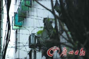 東莞女子被懷疑不忠 遭男友虐待兩晝夜