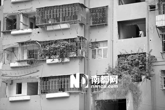 <p>    1號(hào)樓只剩下容某的409房由于賠償款未協(xié)商好沒(méi)有搬遷，該房窗外依然綠意盎然。</p><p>    南都記者 陳文才 攝</p>