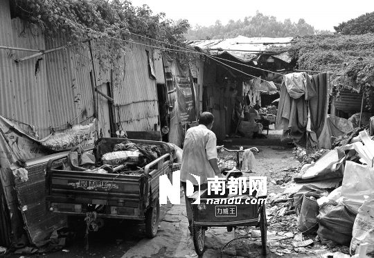 <p>    昨日下午，河南岸下馬莊南山園附近的大型廢品回收點(diǎn)內(nèi)，住在棚戶區(qū)的外來(lái)人員載著行李四處尋找新的落腳點(diǎn)。</p>