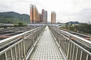 梅林關(guān)檢查崗?fù)そ裨?時開拆 市民拍照紀(jì)念