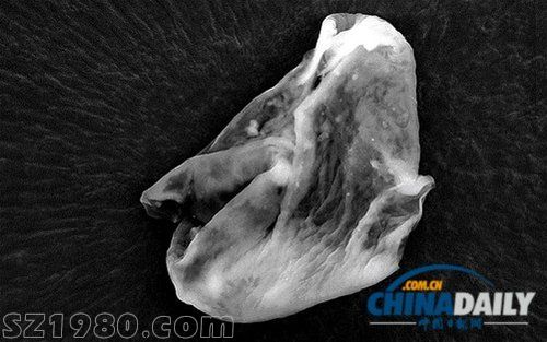英國科學家稱大氣中發(fā)現(xiàn)外星生命惹爭議