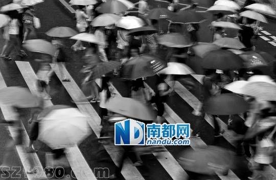<p>    22日傍晚，羅湖街頭， 天兔 帶來(lái)的風(fēng)雨正逐漸增大，行色匆匆下班的人群。 南都記者 徐文閣 攝</p>