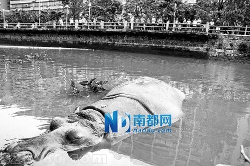救援現(xiàn)場：一男警觸電昏迷 一女警執(zhí)勤犧牲