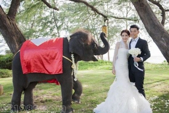 陳赫普吉島大婚黑白搞笑多款婚紗照曝光