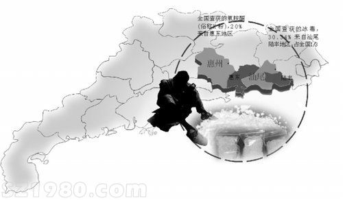 惠州惠東每年K粉產(chǎn)量與金三角海洛因相當(dāng)