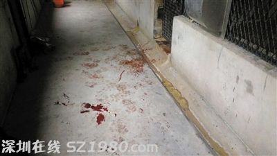 事發(fā)現(xiàn)場。圖/東方IC