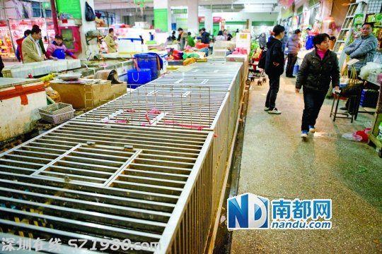<a href=http://www.hnyueyi.com.cn/shenzhen/ target=_blank class=infotextkey>深圳</a>H7N9患者住所附近市場 染病印傭曾來過