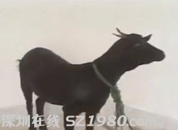 男子強(qiáng)奸黑山羊因獸奸罪被判刑