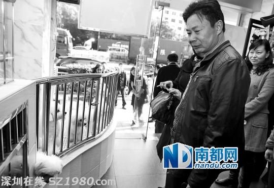 <a href=http://www.hnyueyi.com.cn/shenzhen/ target=_blank class=infotextkey>深圳</a>城管局建議取消每年300元養(yǎng)犬管理費(fèi)