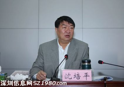 沈培平（資料圖片）