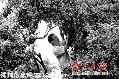 這個月到南山吃喝玩樂去！