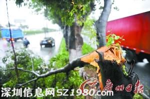 佛山早餐店屋頂飛半空 客人被倒下墻壓住