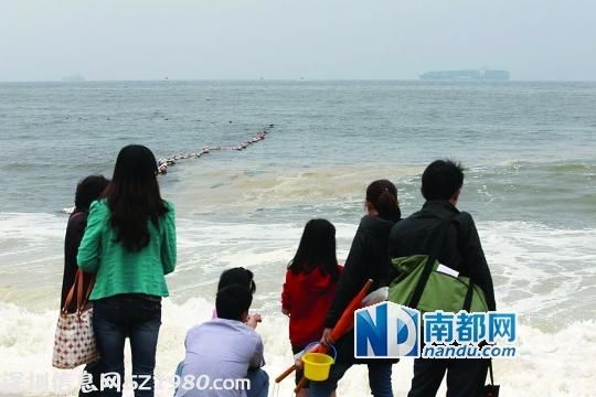 <a href=http://www.hnyueyi.com.cn/shenzhen/ target=_blank class=infotextkey>深圳</a>大梅沙漂浮大量暗黃色浮游植物