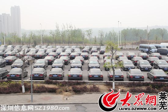 10日，在萊蕪體育館西側(cè)停車場，停滿了準(zhǔn)備拍賣的汽車。（記者 王鵬 攝）
