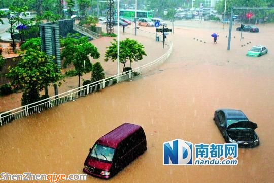 <a href=http://www.hnyueyi.com.cn/shenzhen/ target=_blank class=infotextkey>深圳</a>全城水浸 兩千輛車被淹