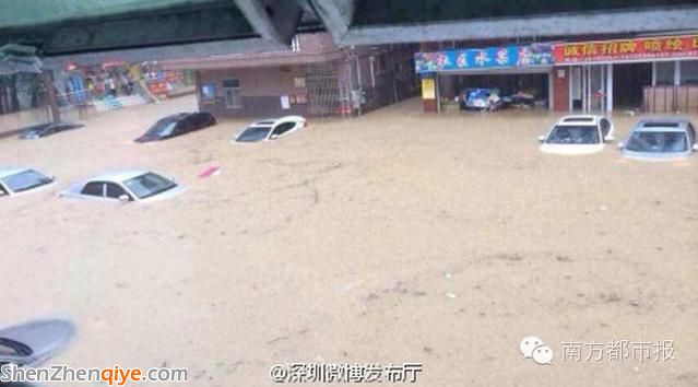 深圳全城水浸 兩千輛車被淹