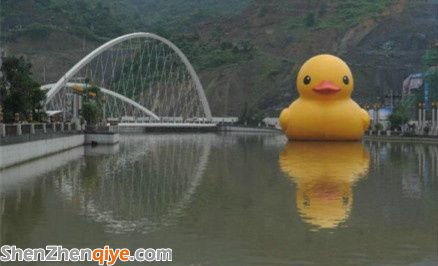 早前的大黃鴨