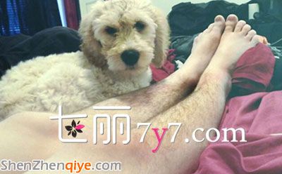 歐美女性掀起瘋狂曬體毛活動(dòng)  網(wǎng)友紛紛曬腿毛照稱：真好