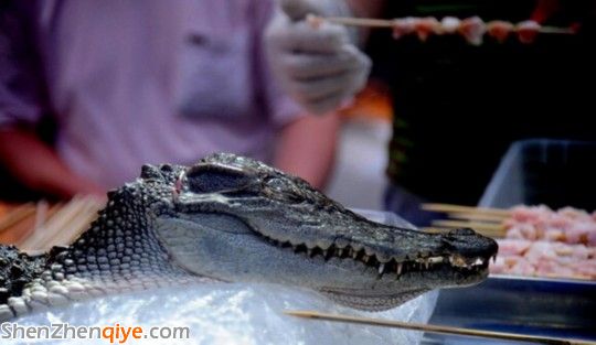 沈陽現(xiàn)鱷魚燒烤20元1串 網(wǎng)友:沒有買賣就沒有傷害