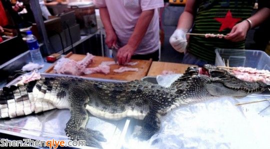 沈陽現(xiàn)鱷魚燒烤20元1串 網(wǎng)友:沒有買賣就沒有傷害