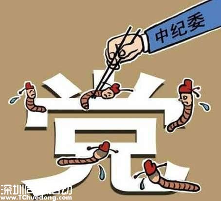 王岐山政協(xié)報告?zhèn)鬟f5個信號 反腐就是求細求實