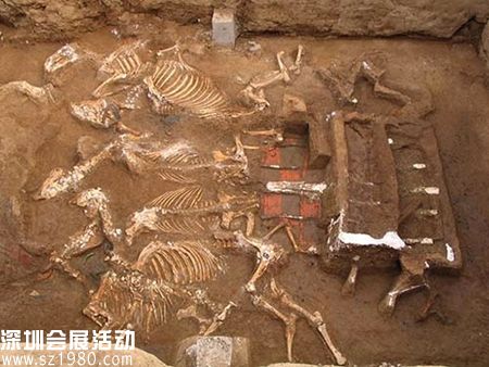 西安財(cái)院秦墓出土的 天子駕六 （陜西省考古研究院 圖）  