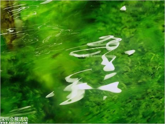 中紀(jì)委：河南省人大常委會副主任秦玉海被調(diào)查