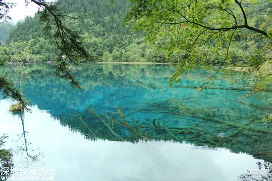 國慶第4天4.1萬人游九寨溝 景區(qū)停售當(dāng)天門票