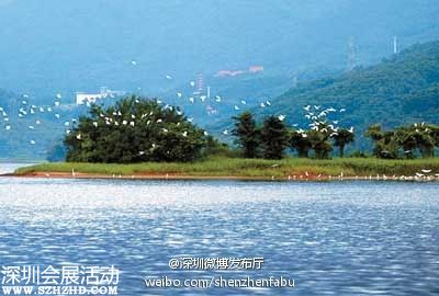 深圳新增兩大市級自然保護(hù)區(qū) 看看都在哪兒