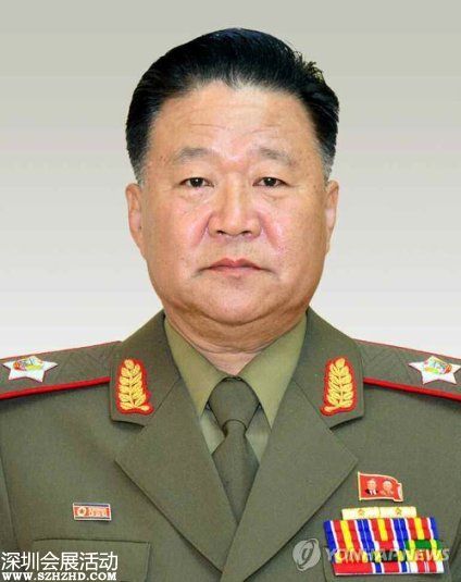 朝鮮勞動黨中央委員會書記崔龍海（韓聯(lián)社）
