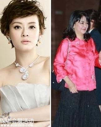 孫儷成長(zhǎng)史：11歲出訪英美 18歲榮立二等功(圖)