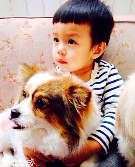孫儷兒子抱狗狗合影 娘娘呼吁抵制玉林狗肉節(jié)