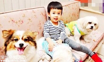 孫儷兒子抱狗狗合影 娘娘呼吁抵制玉林狗肉節(jié)