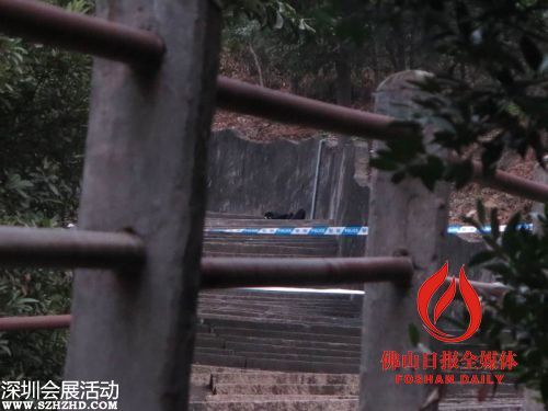 事發(fā)現(xiàn)場。/佛山日報記者張少鵬攝