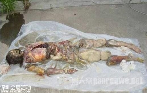 上海大學(xué)腐尸 是他殺還是自殺