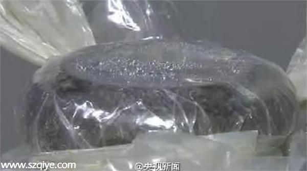 西安古墓出土金代梅瓶 疑裝800年前酒水（圖）