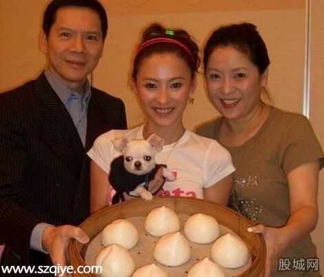 向華強批張柏芝