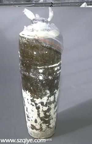 西安古墓出土金代梅瓶 疑裝800年前酒水（圖）