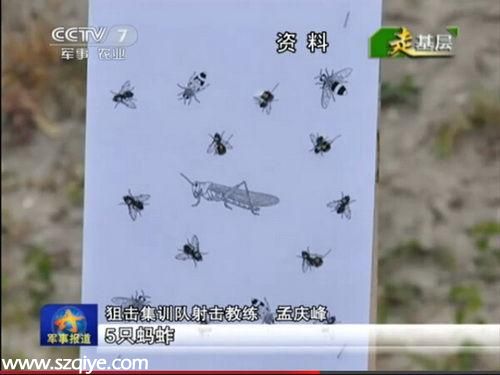 我狙擊手海外參賽遇奇葩科目:百米外打5只蒼蠅