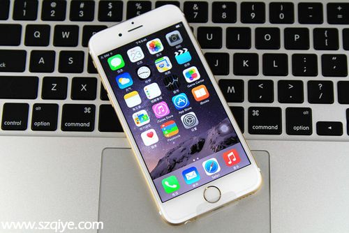 蘋果 iPhone 6 16GB