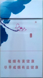 泰山（心悅）