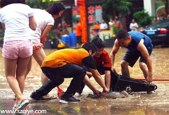 東莞降暴雨街道一片汪洋 市民街頭抓魚(yú)