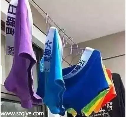 2015已過(guò)一半 據(jù)說(shuō)深圳人都在忙這些事