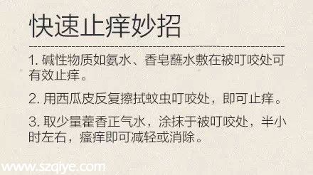 深圳登革熱高發(fā)季殺到 預(yù)防寶典趕快收藏！