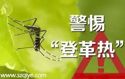 <a href=http://www.sz1980.com/shenzhen/ target=_blank class=infotextkey>深圳</a>登革熱高發(fā)季殺到 預(yù)防寶典趕快收藏！