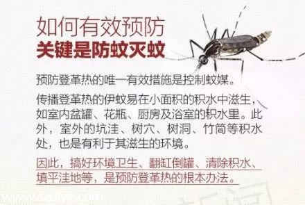 深圳登革熱高發(fā)季殺到 預(yù)防寶典趕快收藏！