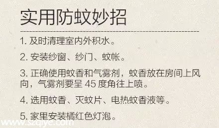 深圳登革熱高發(fā)季殺到 預(yù)防寶典趕快收藏！