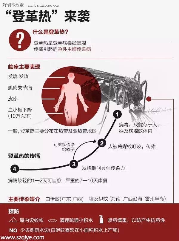 深圳登革熱高發(fā)季殺到 預(yù)防寶典趕快收藏！