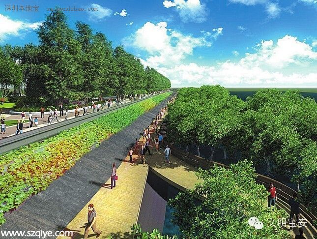 西灣紅樹林濕地公園將于7月底建成開放