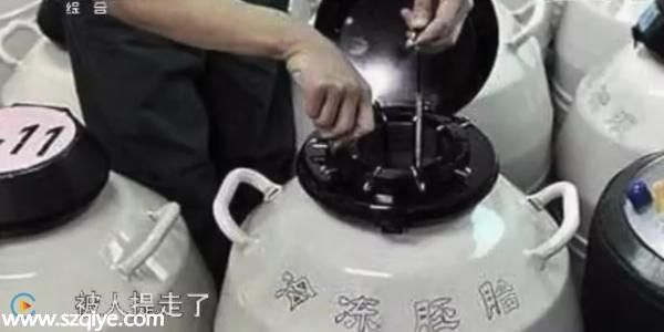億萬富婆戀上醫(yī)生試管造人 5年后又冒出代孕兒子
